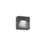 Sieninis lauko LED šviestuvas DEDRA 3W IP65 antracito spalvos