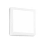 Lubinis šviestuvas UNIVERSAL SQUARE 36W 4000K baltos spalvos