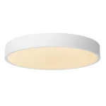 Lubinis LED šviestuvas UNAR 24W 2700K D40 baltos spalvos / dimeriuojamas