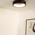 Lubinis LED šviestuvas TALOWE 20W D30 juodos spalvos
