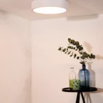Lubinis LED šviestuvas TALOWE 20W D30 baltos spalvos