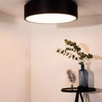 Lubinis LED šviestuvas TALOWE 30W D45,5 juodos spalvos