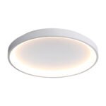Lubinis LED šviestuvas RADEN D-58 baltos spalvos