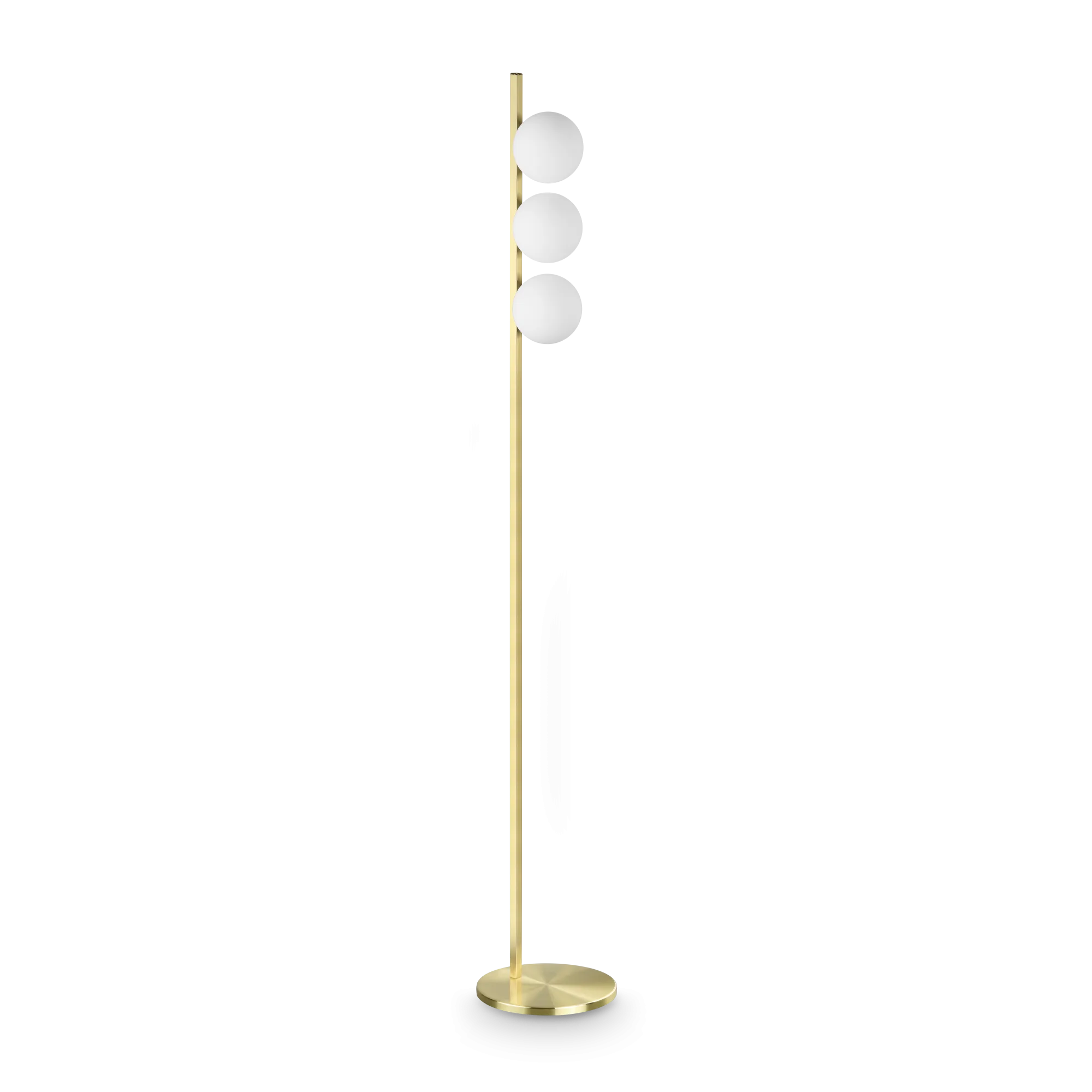 353265_WEB001_BINOMIO_PT3_OTTONE