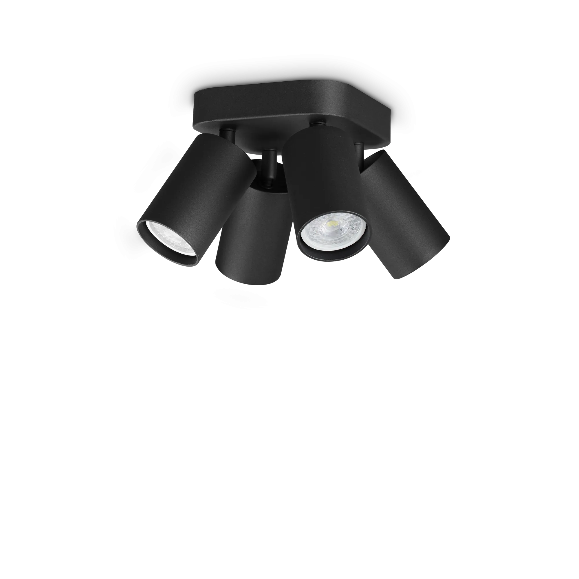 371290_WEB001_DYNAMITE_PL4_ROUND_NERO