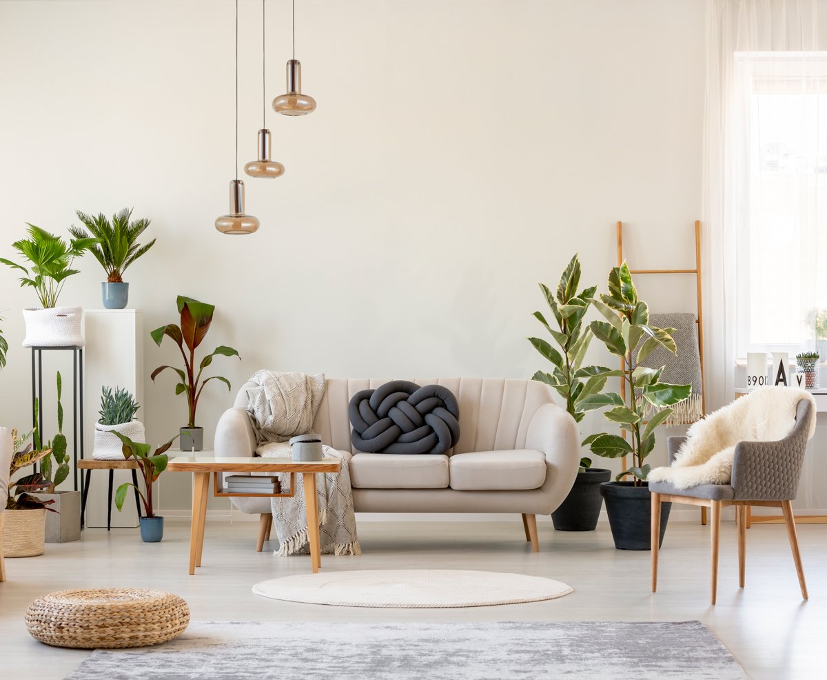 Real photo of a botanic living room interior full of plants with a grey couch standing behind a wooden table and under a lamp, with the two chairs on the opposite sides of the room Pakabinamas LED šviestuvas CAROTE 16W vario/gintaro spalvos - Image 2