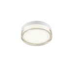 Sieninis/lubinis LED šviestuvas FRISBI 8W 4000K baltos spalvos