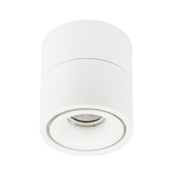 led-lubu-sviestuvas-12w-baltas-reguliuojamas-silta-balta-sviesa-1