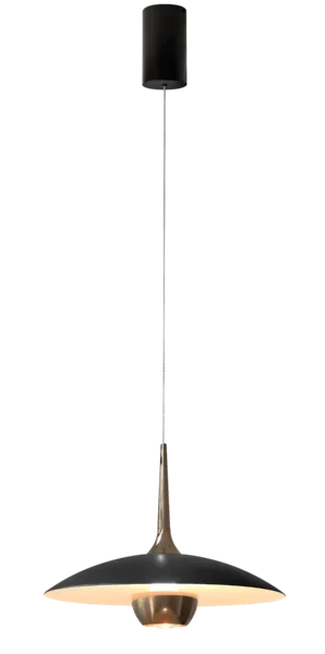 Pakabinamas LED šviestuvas MANUKA P0676 juodos spalvos